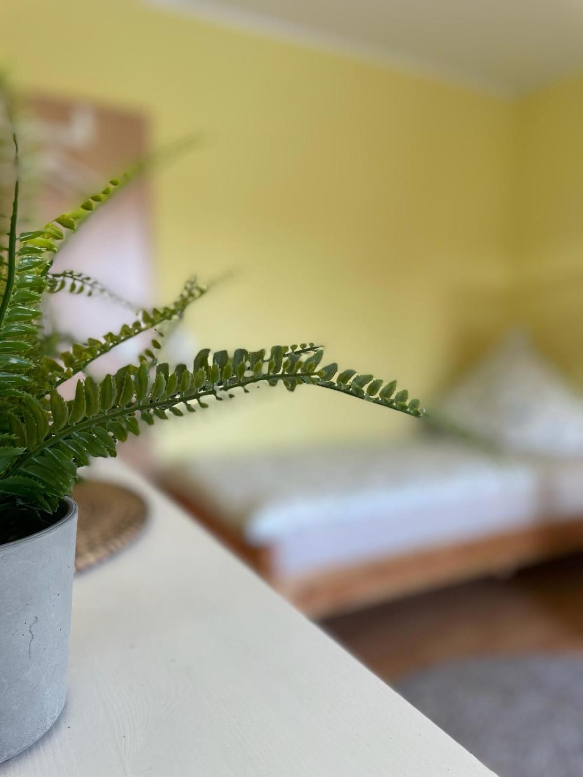 Modernes Apartment Im Gruenen, Mit Park- Und Meer-Naehe Bad Zwischenahn Ngoại thất bức ảnh
